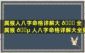 属猴人八字命格详解大 🐟 全「属猴 🌵 人八字命格详解大全男」